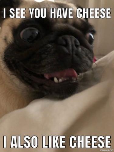 FB_IMG_1741385657838