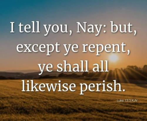 8a117153-b814-4d2a-8460-6f1b747cbaab