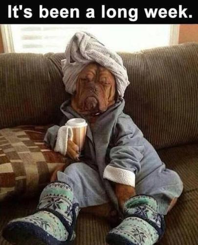 FB_IMG_1741641853086