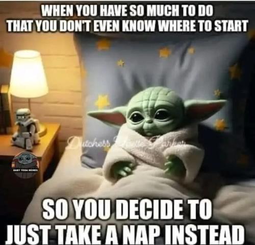 FB_IMG_1741526724177