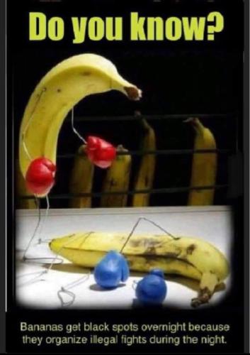 4A7C8030-B69D-4A9C-B42D-5EF4D5AE9A79-28043-000025CED4678636