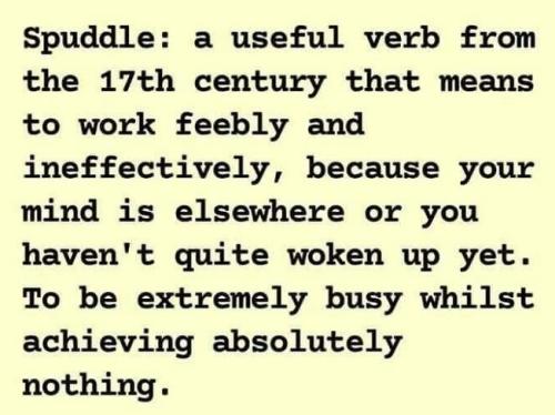 480766856_1050157080473522_6918872984450590763_n