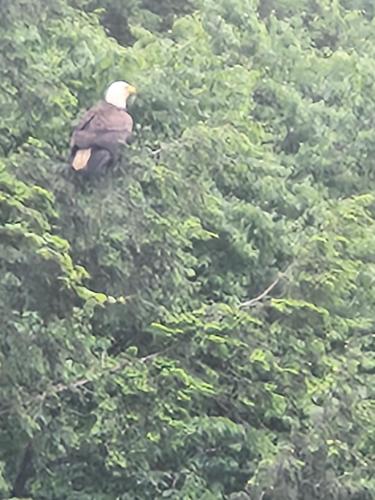 6390c98a-033b-4a7d-91cf-4d7e13556097