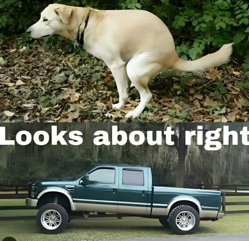 FB_IMG_1742855034366