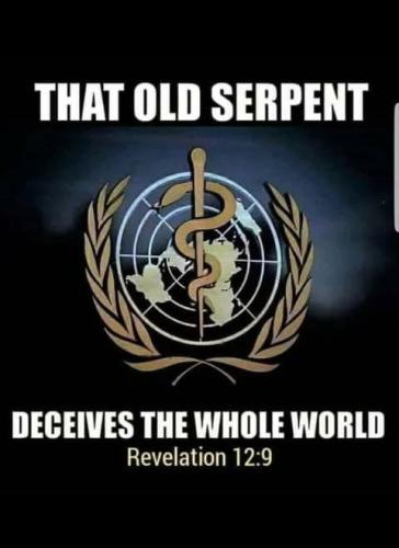 0cc97200e80ff5f50c1e3013dce8cd77