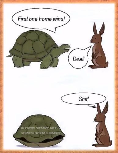 FD4F1934-400D-478C-8AD1-98857D95DB0F