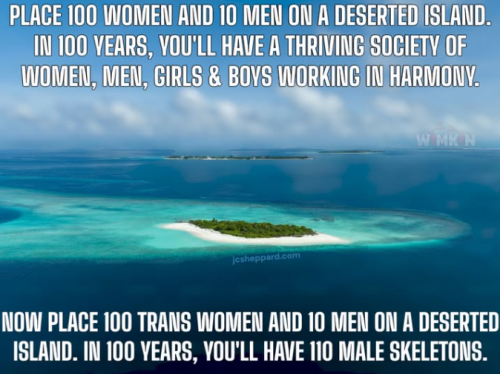 Screenshot 2025-03-21 192602