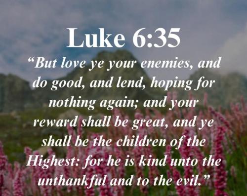 c07dedc8-e34f-4243-929a-c4456d95bf74