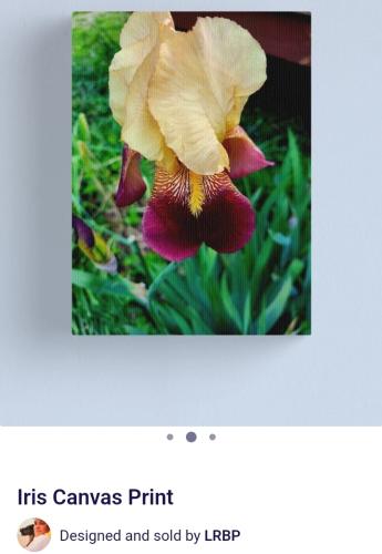 Screenshot_20250325_132921_Brave