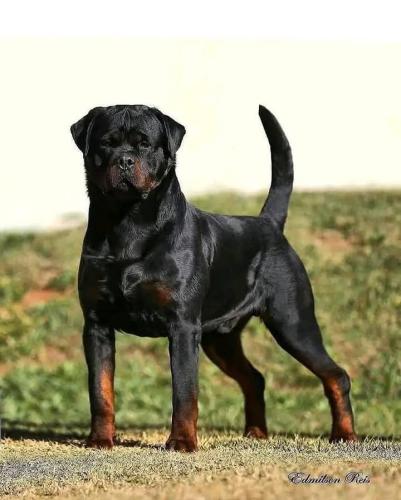 FB_IMG_1740929930534