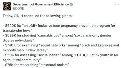 government efficiency59