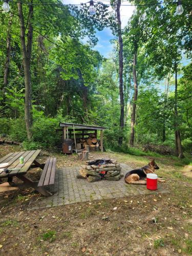 f7724673-2556-4418-b922-50fe0e2a5d8f