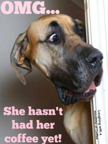 182de3bff1165fd5aacf82bc2a3cbaf2