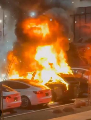 FB_IMG_1742739165383