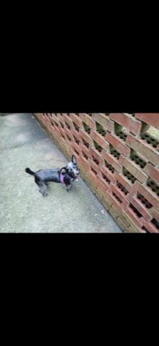 Screenshot_20240726_135730_Gallery