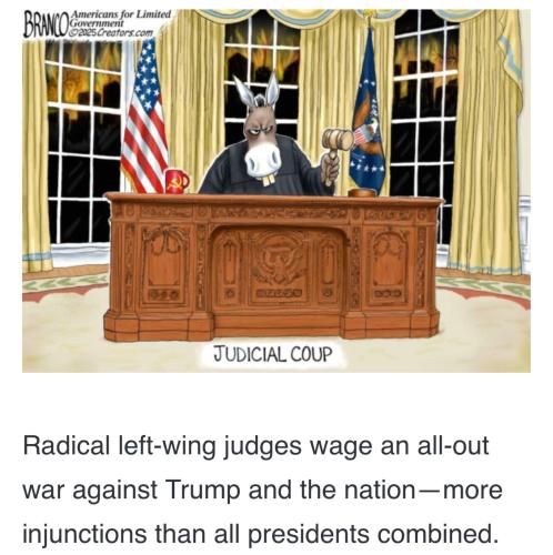 image_61636D0F-DA2E-44EE-B2E6-8F2FC0EA2B80