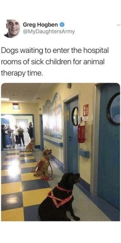 5F8A0013-94A8-452C-BF34-2FF4E339E1F2