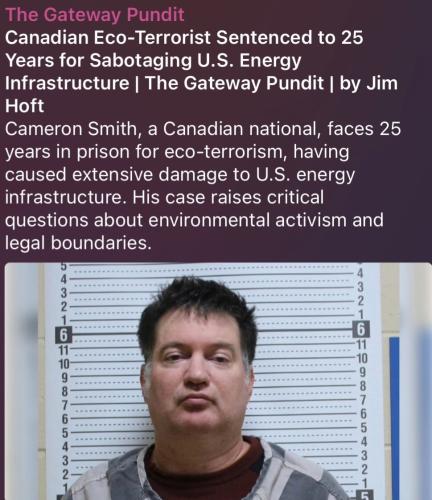 5546c144bdb219e279477c89d9d6710fc34eca93e8f22c508eff60b521822e5b_1