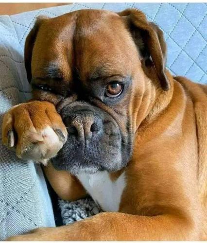 FB_IMG_1742548217905