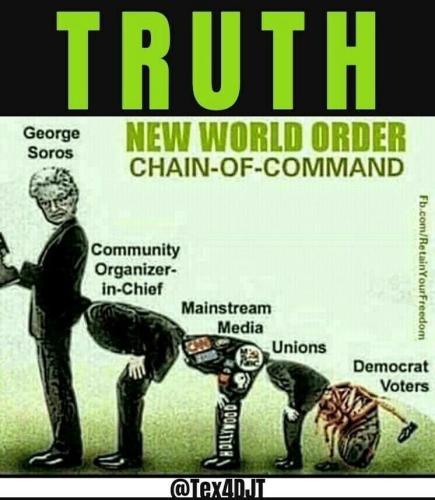 56907889-80e7-4e1d-abdb-f7e220e828e3