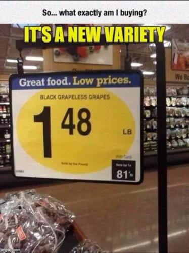 3440FFA1-D99C-4DC5-A991-CC801D07E6AD