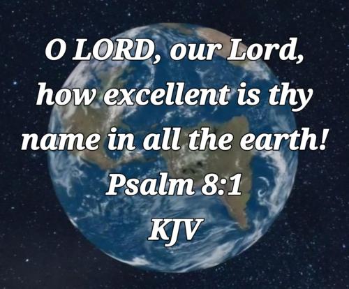 de50d1cd-bc25-499d-aae7-1c10e7856978