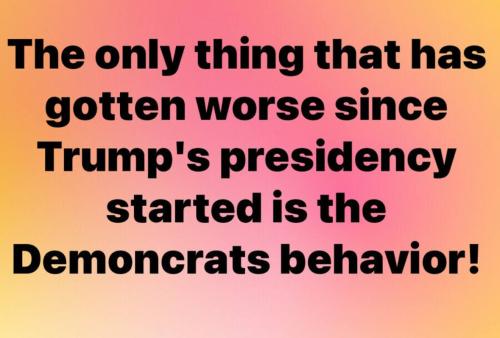 IMG_20250320_144935_635