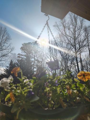 IMG_20250328_100742754_HDR