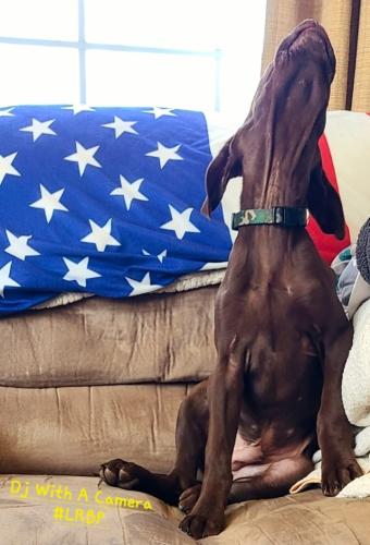 Screenshot_20250321_094350_Gallery