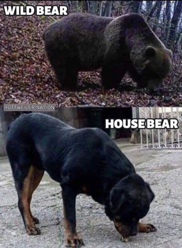 FB_IMG_1742681625731