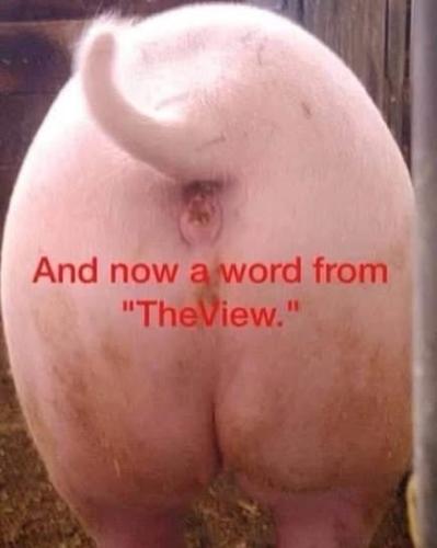 FC1ADDCC-997E-4F79-A644-16D0D1385E55