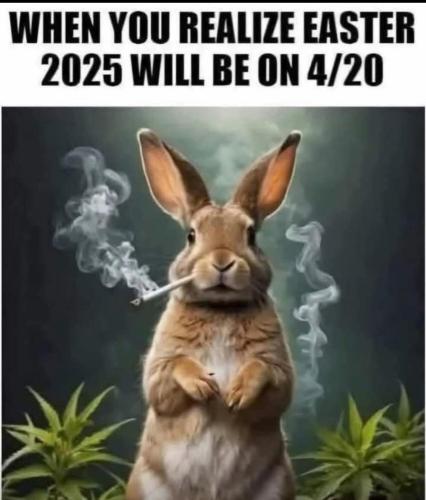 image_47B76076-0A42-4572-B2E2-64FB985ACBE2