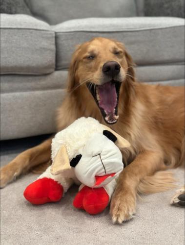 FB_IMG_1743100957505