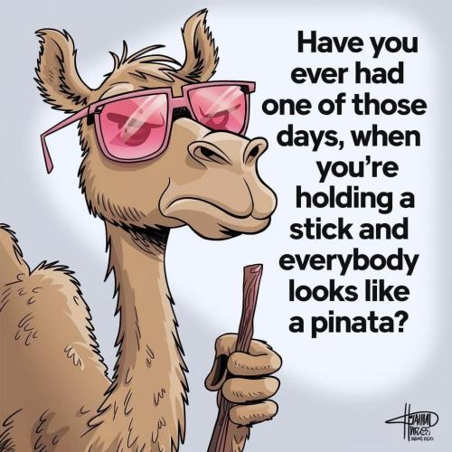 4E003068-F907-4346-B311-4CD8728BE316