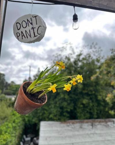 f1dfdbfd-1581-4c5f-8d39-ef41d2a07c53