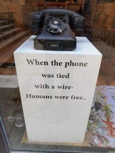 Screenshot_20250306_042615_Brave