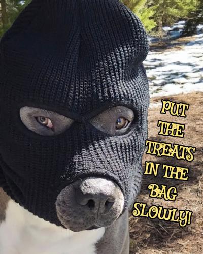 FB_IMG_1742720023928