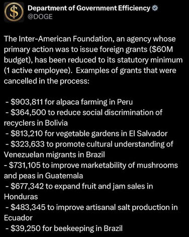 government efficiency61