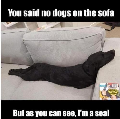 5901C172-5F5F-4C66-9623-0CE89EAF9BEE