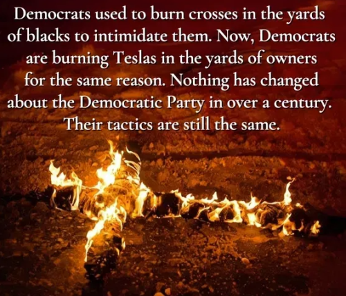 image_2025-03-24_063222302