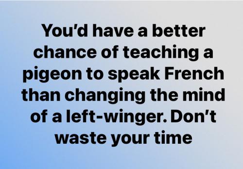 746D73F5-2A81-4541-AE08-1C74BC00B02E