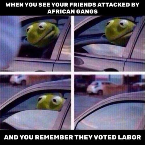 FB_IMG_1553956469511