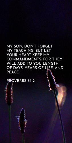 487532744_639398422282065_9118275240674772560_n