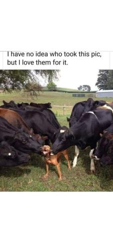 FB_IMG_1742582350381