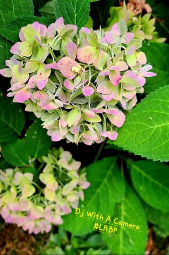 Screenshot_20250309_074834_Gallery