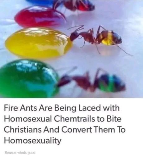 6ed5c630-70ff-4e36-a4f1-4f052cdf0d83