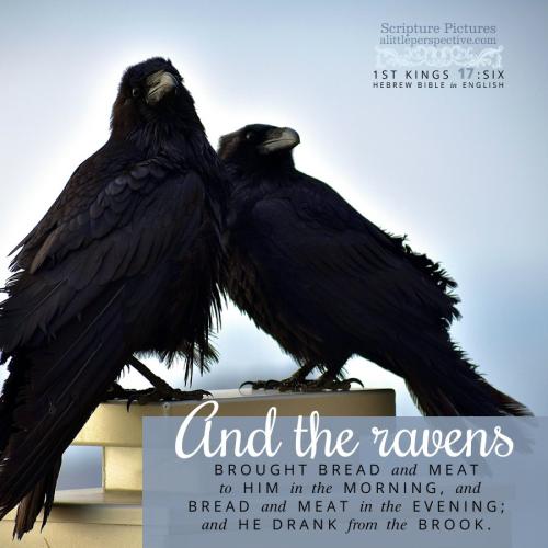 1-kin-17-6-HBE-unsplash