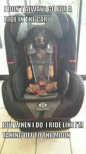 FB_IMG_1741111354463