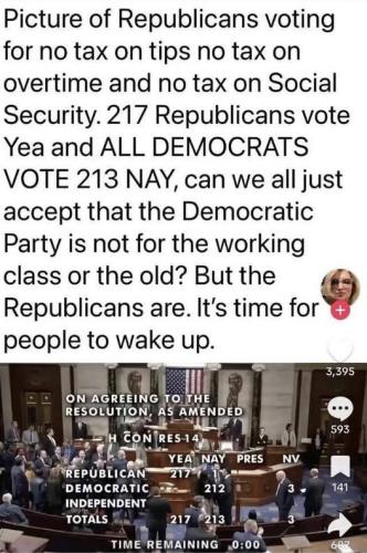 dems votew