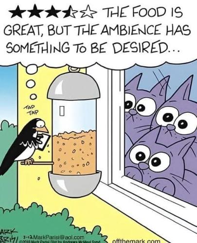 FB_IMG_1742057942881